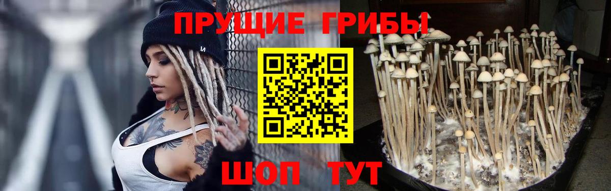 Галлюциногенные грибы мицелий Среднеуральск