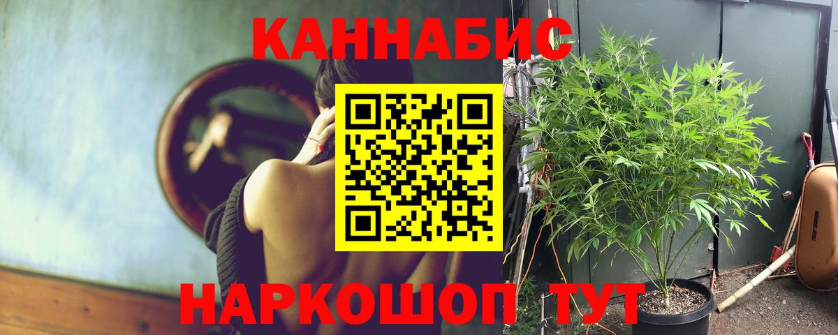 Среднеуральск  Каннабис THC 21%  Конопля OG Kush  Канабис семена  Вход с VPN 